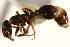  ( - CHU06-ANT-088)  @14 [ ] Unspecified (default): All Rights Reserved  Unspecified Unspecified