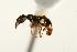  ( - CHU06-ANT-192)  @13 [ ] Unspecified (default): All Rights Reserved  Unspecified Unspecified
