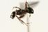  ( - CHU06-ANT-239)  @14 [ ] Unspecified (default): All Rights Reserved  Unspecified Unspecified