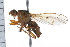  ( - 06-PROBE-0085)  @13 [ ] CreativeCommons - Attribution (2009) Unspecified Centre for Biodiversity Genomics