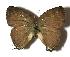  ( - 05-SRNP-33041)  @14 [ ] Unspecified (default): All Rights Reserved  Unspecified Unspecified