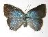  ( - 05-SRNP-19482)  @14 [ ] Unspecified (default): All Rights Reserved  Unspecified Unspecified