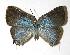  ( - 05-SRNP-19515)  @14 [ ] Unspecified (default): All Rights Reserved  Unspecified Unspecified