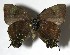 ( - 07-SRNP-32300)  @13 [ ] Unspecified (default): All Rights Reserved  Unspecified Unspecified