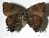  ( - 07-SRNP-32305)  @13 [ ] Unspecified (default): All Rights Reserved  Unspecified Unspecified