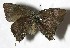  ( - 07-SRNP-32320)  @12 [ ] Unspecified (default): All Rights Reserved  Unspecified Unspecified