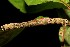  ( - 09-SRNP-40215)  @12 [ ] CreativeCommons - Attribution Non-Commercial Share-Alike (2013) Daniel H. Janzen Guanacaste Dry Forest Conservation Fund