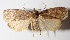  ( - 12-SRNP-26)  @14 [ ] CreativeCommons  Attribution Non-Commercial Share-Alike (2016) Unspecified Guanacaste Dry Forest Conservation Fund