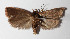  ( - 13-SRNP-35925)  @13 [ ] CreativeCommons  Attribution Non-Commercial Share-Alike (2016) Unspecified Guanacaste Dry Forest Conservation Fund
