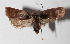 ( - 13-SRNP-35953)  @13 [ ] CreativeCommons  Attribution Non-Commercial Share-Alike (2016) Unspecified Guanacaste Dry Forest Conservation Fund