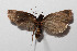  ( - 13-SRNP-35953)  @13 [ ] CreativeCommons  Attribution Non-Commercial Share-Alike (2016) Unspecified Guanacaste Dry Forest Conservation Fund