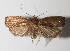  ( - 13-SRNP-42568)  @14 [ ] CreativeCommons  Attribution Non-Commercial Share-Alike (2016) Unspecified Guanacaste Dry Forest Conservation Fund