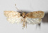  ( - 13-SRNP-42840)  @15 [ ] CreativeCommons  Attribution Non-Commercial Share-Alike (2016) Unspecified Guanacaste Dry Forest Conservation Fund