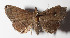  ( - 13-SRNP-71957)  @12 [ ] CreativeCommons  Attribution Non-Commercial Share-Alike (2016) Unspecified Guanacaste Dry Forest Conservation Fund