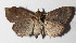  ( - 13-SRNP-71957)  @12 [ ] CreativeCommons  Attribution Non-Commercial Share-Alike (2016) Unspecified Guanacaste Dry Forest Conservation Fund