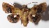  ( - 14-SRNP-1671)  @14 [ ] CreativeCommons  Attribution Non-Commercial Share-Alike (2016) Unspecified Guanacaste Dry Forest Conservation Fund