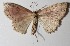  ( - 14-SRNP-20841)  @13 [ ] CreativeCommons  Attribution Non-Commercial Share-Alike (2016) Unspecified Guanacaste Dry Forest Conservation Fund