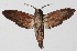  ( - 14-SRNP-20880)  @13 [ ] CreativeCommons  Attribution Non-Commercial Share-Alike (2016) Unspecified Guanacaste Dry Forest Conservation Fund