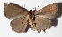  ( - 14-SRNP-21057)  @14 [ ] CreativeCommons  Attribution Non-Commercial Share-Alike (2016) Unspecified Guanacaste Dry Forest Conservation Fund