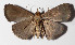  ( - 14-SRNP-21058)  @14 [ ] CreativeCommons  Attribution Non-Commercial Share-Alike (2016) Unspecified Guanacaste Dry Forest Conservation Fund