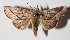  ( - 14-SRNP-21159)  @14 [ ] CreativeCommons  Attribution Non-Commercial Share-Alike (2016) Unspecified Guanacaste Dry Forest Conservation Fund