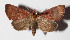  ( - 14-SRNP-21179)  @12 [ ] CreativeCommons  Attribution Non-Commercial Share-Alike (2016) Unspecified Guanacaste Dry Forest Conservation Fund