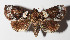  ( - 14-SRNP-21184)  @14 [ ] CreativeCommons  Attribution Non-Commercial Share-Alike (2016) Unspecified Guanacaste Dry Forest Conservation Fund