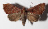  ( - 14-SRNP-21217)  @12 [ ] CreativeCommons  Attribution Non-Commercial Share-Alike (2016) Unspecified Guanacaste Dry Forest Conservation Fund