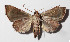 ( - 14-SRNP-21217)  @12 [ ] CreativeCommons  Attribution Non-Commercial Share-Alike (2016) Unspecified Guanacaste Dry Forest Conservation Fund