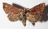  ( - 14-SRNP-21218)  @12 [ ] CreativeCommons  Attribution Non-Commercial Share-Alike (2016) Unspecified Guanacaste Dry Forest Conservation Fund