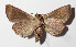  ( - 14-SRNP-21218)  @12 [ ] CreativeCommons  Attribution Non-Commercial Share-Alike (2016) Unspecified Guanacaste Dry Forest Conservation Fund