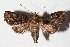  ( - 14-SRNP-21289)  @14 [ ] CreativeCommons  Attribution Non-Commercial Share-Alike (2016) Unspecified Guanacaste Dry Forest Conservation Fund