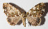  ( - 14-SRNP-21334)  @13 [ ] CreativeCommons  Attribution Non-Commercial Share-Alike (2016) Unspecified Guanacaste Dry Forest Conservation Fund