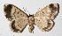  ( - 14-SRNP-21334)  @13 [ ] CreativeCommons  Attribution Non-Commercial Share-Alike (2016) Unspecified Guanacaste Dry Forest Conservation Fund