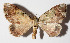  ( - 14-SRNP-21335)  @13 [ ] CreativeCommons  Attribution Non-Commercial Share-Alike (2016) Unspecified Guanacaste Dry Forest Conservation Fund