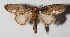  ( - 14-SRNP-21363)  @14 [ ] CreativeCommons  Attribution Non-Commercial Share-Alike (2016) Unspecified Guanacaste Dry Forest Conservation Fund