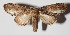  ( - 14-SRNP-21364)  @14 [ ] CreativeCommons  Attribution Non-Commercial Share-Alike (2016) Unspecified Guanacaste Dry Forest Conservation Fund