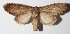  ( - 14-SRNP-21364)  @14 [ ] CreativeCommons  Attribution Non-Commercial Share-Alike (2016) Unspecified Guanacaste Dry Forest Conservation Fund