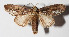  ( - 14-SRNP-21366)  @14 [ ] CreativeCommons  Attribution Non-Commercial Share-Alike (2016) Unspecified Guanacaste Dry Forest Conservation Fund
