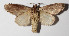  ( - 14-SRNP-21366)  @14 [ ] CreativeCommons  Attribution Non-Commercial Share-Alike (2016) Unspecified Guanacaste Dry Forest Conservation Fund