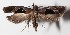  ( - 14-SRNP-2756)  @14 [ ] CreativeCommons  Attribution Non-Commercial Share-Alike (2016) Unspecified Guanacaste Dry Forest Conservation Fund