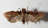 ( - 14-SRNP-30363)  @13 [ ] CreativeCommons  Attribution Non-Commercial Share-Alike (2016) Unspecified Guanacaste Dry Forest Conservation Fund