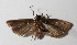  ( - 14-SRNP-30363)  @13 [ ] CreativeCommons  Attribution Non-Commercial Share-Alike (2016) Unspecified Guanacaste Dry Forest Conservation Fund
