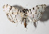  ( - 14-SRNP-30923)  @13 [ ] CreativeCommons  Attribution Non-Commercial Share-Alike (2016) Unspecified Guanacaste Dry Forest Conservation Fund