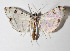  ( - 14-SRNP-30923)  @13 [ ] CreativeCommons  Attribution Non-Commercial Share-Alike (2016) Unspecified Guanacaste Dry Forest Conservation Fund