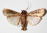  ( - 14-SRNP-31213)  @13 [ ] CreativeCommons  Attribution Non-Commercial Share-Alike (2016) Unspecified Guanacaste Dry Forest Conservation Fund