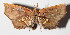  ( - 14-SRNP-31264)  @12 [ ] CreativeCommons  Attribution Non-Commercial Share-Alike (2016) Unspecified Guanacaste Dry Forest Conservation Fund