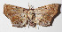  ( - 14-SRNP-31264)  @12 [ ] CreativeCommons  Attribution Non-Commercial Share-Alike (2016) Unspecified Guanacaste Dry Forest Conservation Fund