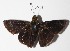  ( - 14-SRNP-31542)  @13 [ ] CreativeCommons  Attribution Non-Commercial Share-Alike (2016) Unspecified Guanacaste Dry Forest Conservation Fund