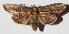  ( - 14-SRNP-31625)  @13 [ ] CreativeCommons  Attribution Non-Commercial Share-Alike (2016) Unspecified Guanacaste Dry Forest Conservation Fund